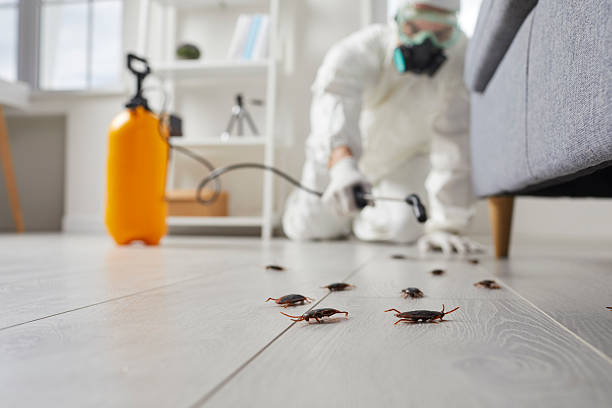 Commercial Kitchen Cockroach Control in Wheeling
